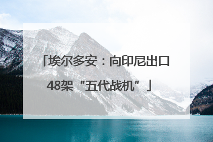 埃尔多安：向印尼出口48架“五代战机”
