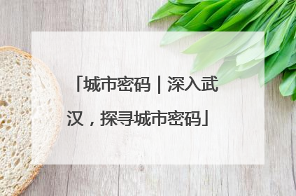 城市密码｜深入武汉，探寻城市密码