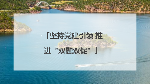 坚持党建引领 推进“双融双促”