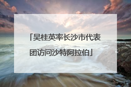 吴桂英率长沙市代表团访问沙特阿拉伯