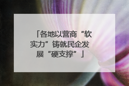 各地以营商“软实力”铸就民企发展“硬支撑”