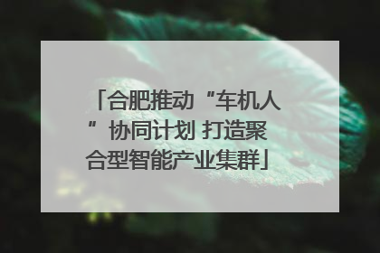 合肥推动“车机人”协同计划 打造聚合型智能产业集群