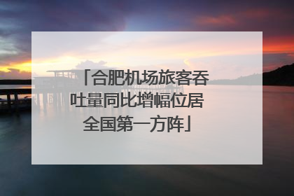 合肥机场旅客吞吐量同比增幅位居全国第一方阵