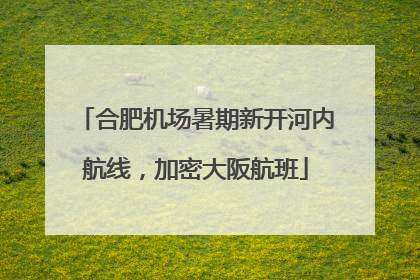 合肥机场暑期新开河内航线，加密大阪航班