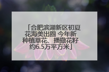 合肥滨湖新区初夏花海美出圈 今年新种植草花、播撒花籽约6.5万平方米