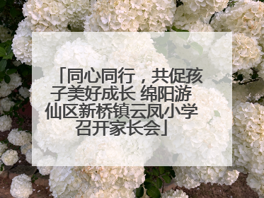 同心同行，共促孩子美好成长 绵阳游仙区新桥镇云凤小学召开家长会