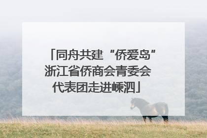 同舟共建“侨爱岛” 浙江省侨商会青委会代表团走进嵊泗