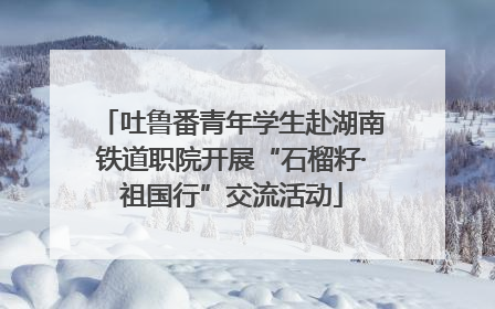 吐鲁番青年学生赴湖南铁道职院开展“石榴籽·祖国行”交流活动