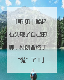 听·见｜搬起石头砸了自己的脚，特朗普终于“慌”了！