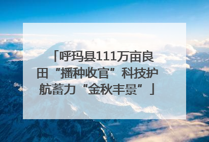 呼玛县111万亩良田“播种收官”科技护航蓄力“金秋丰景”