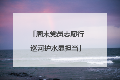 周末党员志愿行 巡河护水显担当