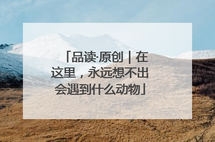 品读·原创｜在这里，永远想不出会遇到什么动物