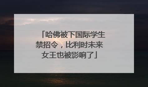 哈佛被下国际学生禁招令，比利时未来女王也被影响了
