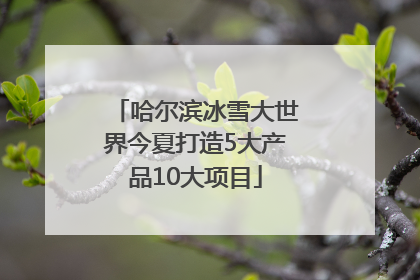 哈尔滨冰雪大世界今夏打造5大产品10大项目