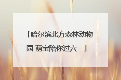 哈尔滨北方森林动物园 萌宝陪你过六一