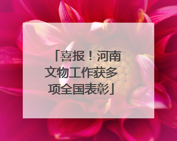 喜报！河南文物工作获多项全国表彰