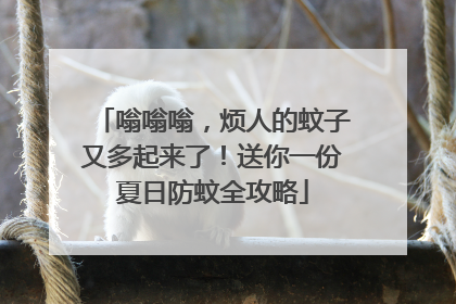 嗡嗡嗡，烦人的蚊子又多起来了！送你一份夏日防蚊全攻略