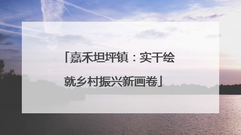 嘉禾坦坪镇：实干绘就乡村振兴新画卷