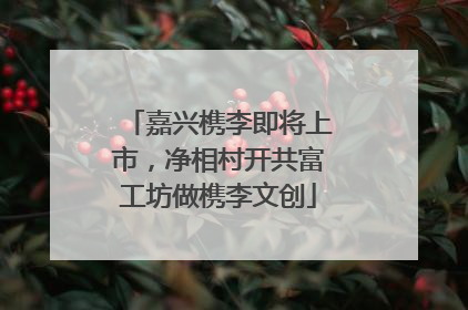 嘉兴槜李即将上市，净相村开共富工坊做槜李文创