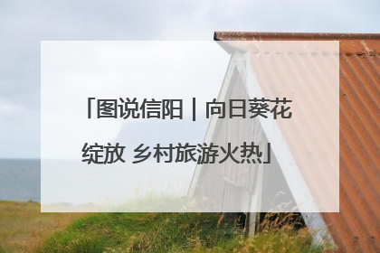 图说信阳｜向日葵花绽放 乡村旅游火热