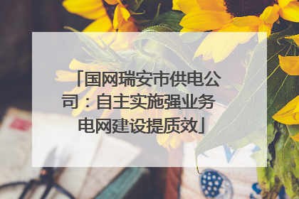 国网瑞安市供电公司：自主实施强业务 电网建设提质效