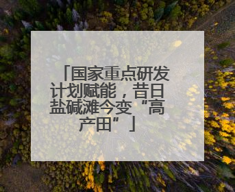 国家重点研发计划赋能，昔日盐碱滩今变“高产田”