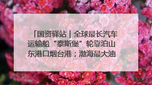 国资驿站｜全球最长汽车运输船“泰斯堡”轮靠泊山东港口烟台港；渤海最大油气平台完成浮托安装