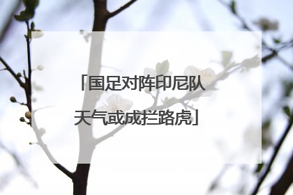 国足对阵印尼队 天气或成拦路虎
