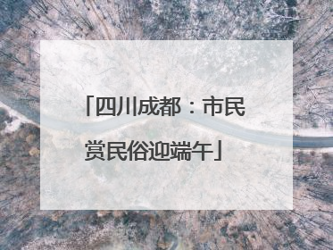 四川成都：市民赏民俗迎端午