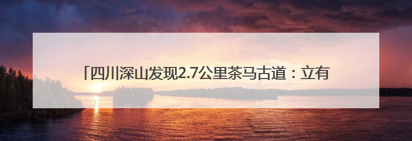 四川深山发现2.7公里茶马古道：立有石碑，杨慎、奢香夫人或都走过这条路