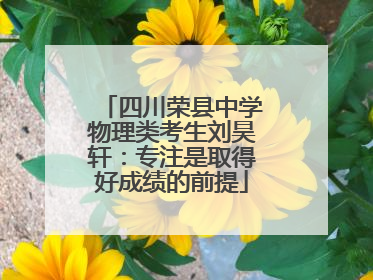四川荣县中学物理类考生刘昊轩：专注是取得好成绩的前提