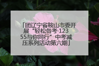 团辽宁省鞍山市委开展“轻松备考·12355与你同行”中考减压系列活动第六期