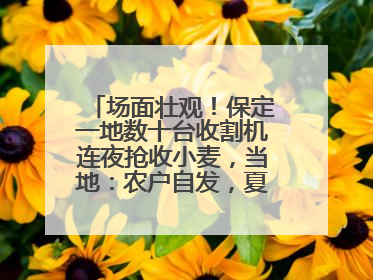 场面壮观！保定一地数十台收割机连夜抢收小麦，当地：农户自发，夏收工作基本完成