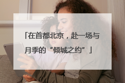 在首都北京，赴一场与月季的“倾城之约”