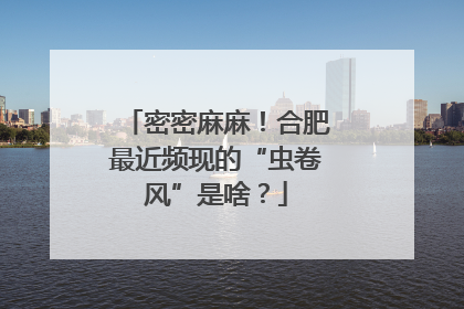 密密麻麻！合肥最近频现的“虫卷风”是啥？
