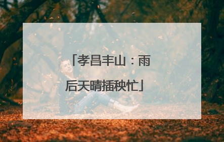 孝昌丰山：雨后天晴插秧忙
