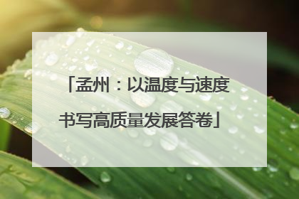 孟州：以温度与速度书写高质量发展答卷