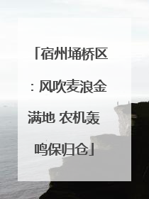 宿州埇桥区：风吹麦浪金满地 农机轰鸣保归仓