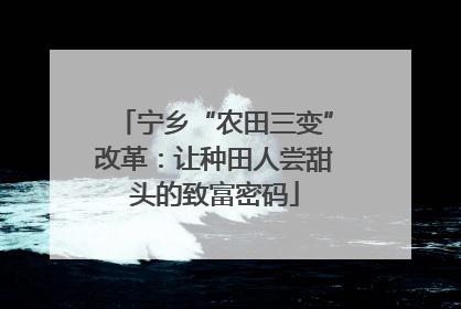 宁乡“农田三变”改革：让种田人尝甜头的致富密码