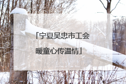 宁夏吴忠市工会暖童心传温情