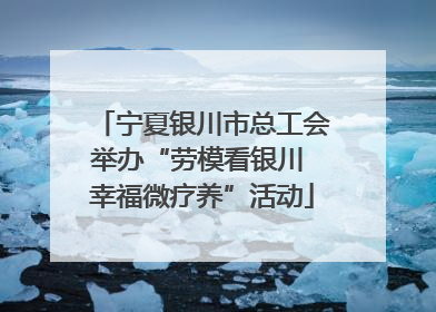 宁夏银川市总工会举办“劳模看银川 幸福微疗养”活动