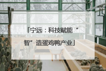 宁远：科技赋能“智”造蛋鸡鸭产业