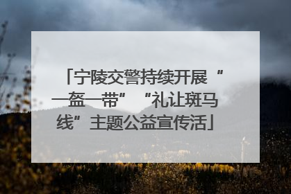 宁陵交警持续开展“一盔一带”“礼让斑马线”主题公益宣传活