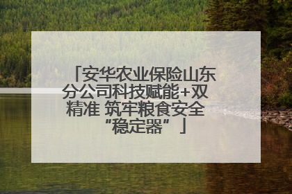 安华农业保险山东分公司科技赋能+双精准 筑牢粮食安全“稳定器”