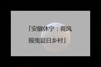 安徽休宁：荷风摇曳夏日乡村