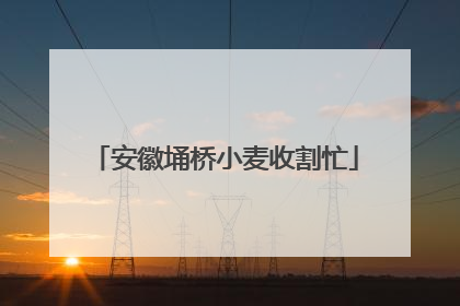 安徽埇桥小麦收割忙