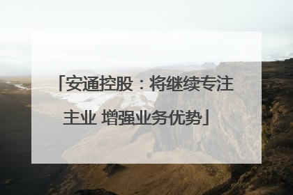安通控股：将继续专注主业 增强业务优势