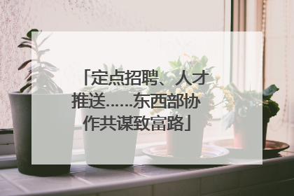 定点招聘、人才推送……东西部协作共谋致富路