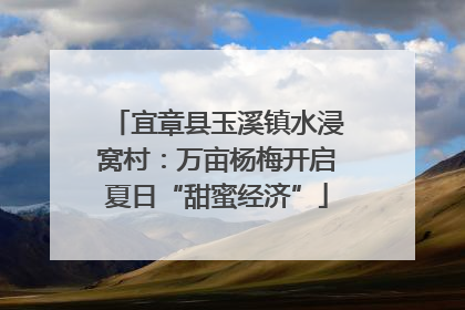宜章县玉溪镇水浸窝村：万亩杨梅开启夏日“甜蜜经济”