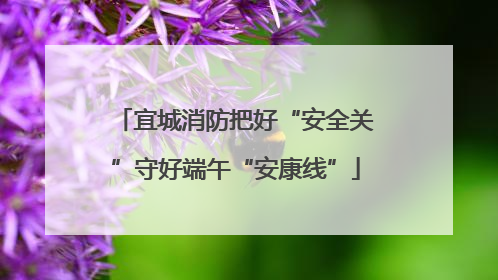 宜城消防把好“安全关”守好端午“安康线”